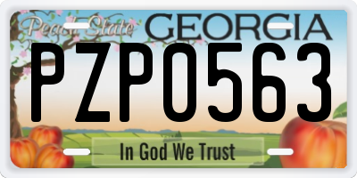 GA license plate PZP0563