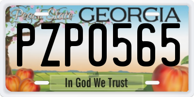 GA license plate PZP0565