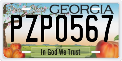 GA license plate PZP0567