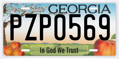 GA license plate PZP0569