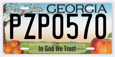 GA license plate PZP0570