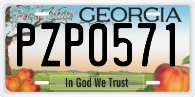 GA license plate PZP0571