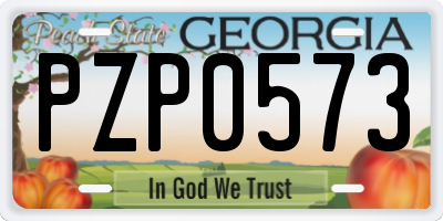GA license plate PZP0573