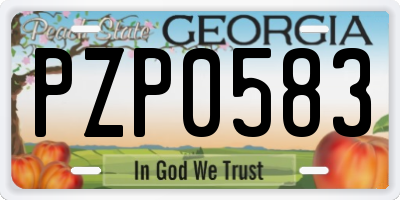 GA license plate PZP0583