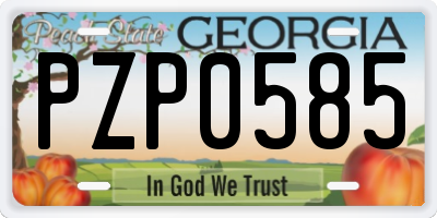 GA license plate PZP0585