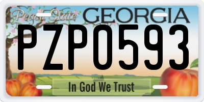 GA license plate PZP0593