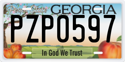 GA license plate PZP0597