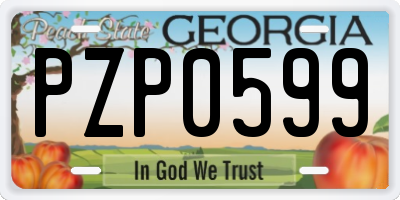 GA license plate PZP0599