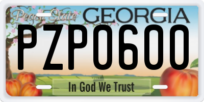 GA license plate PZP0600