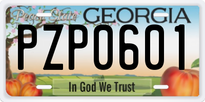 GA license plate PZP0601