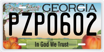 GA license plate PZP0602