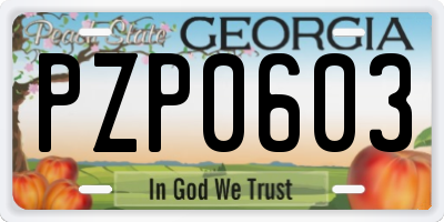 GA license plate PZP0603