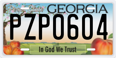 GA license plate PZP0604