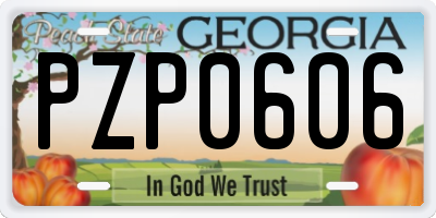 GA license plate PZP0606