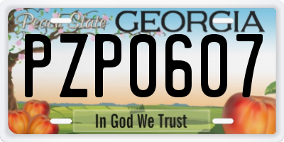 GA license plate PZP0607