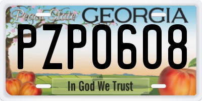 GA license plate PZP0608