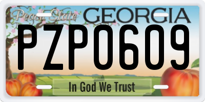 GA license plate PZP0609