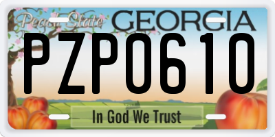 GA license plate PZP0610