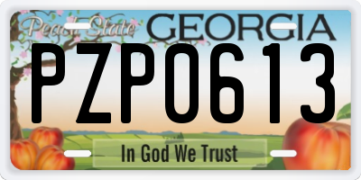 GA license plate PZP0613