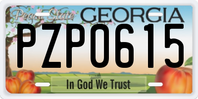 GA license plate PZP0615