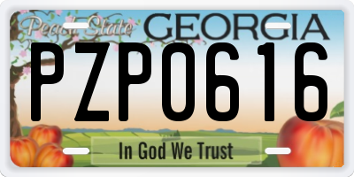 GA license plate PZP0616
