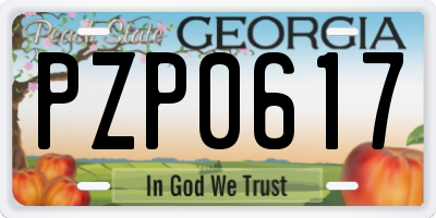 GA license plate PZP0617