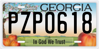 GA license plate PZP0618