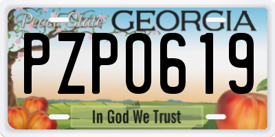 GA license plate PZP0619