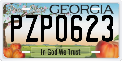 GA license plate PZP0623