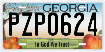 GA license plate PZP0624