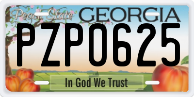 GA license plate PZP0625