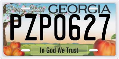 GA license plate PZP0627