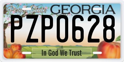 GA license plate PZP0628