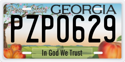 GA license plate PZP0629