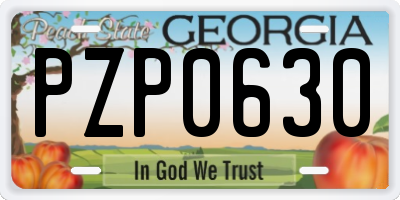 GA license plate PZP0630