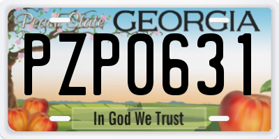 GA license plate PZP0631