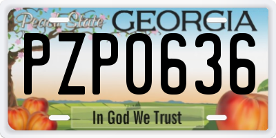 GA license plate PZP0636