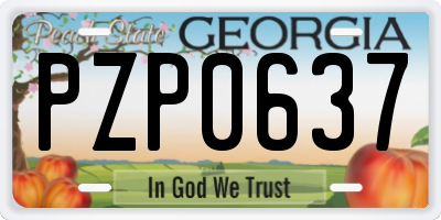 GA license plate PZP0637