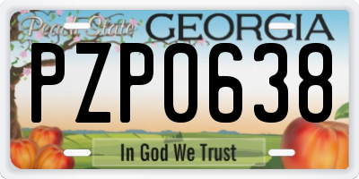 GA license plate PZP0638