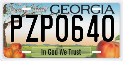 GA license plate PZP0640