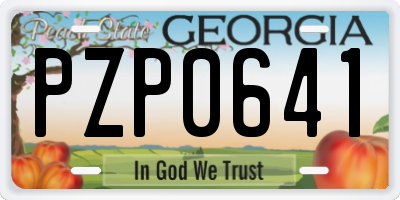 GA license plate PZP0641