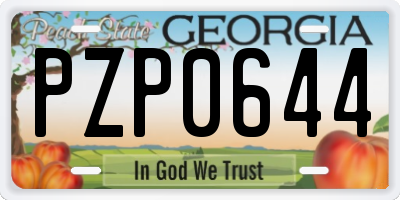 GA license plate PZP0644