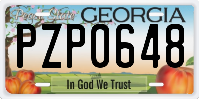 GA license plate PZP0648