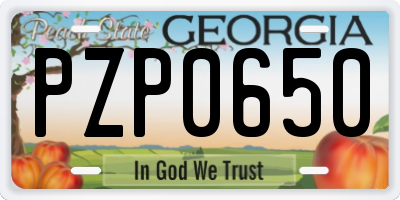 GA license plate PZP0650