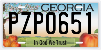 GA license plate PZP0651