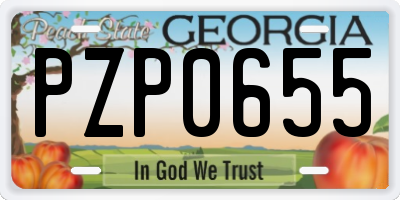 GA license plate PZP0655
