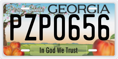GA license plate PZP0656