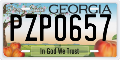 GA license plate PZP0657