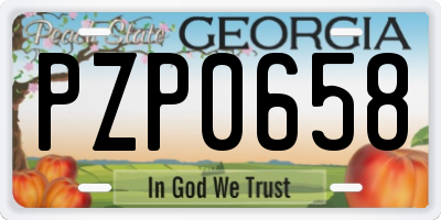 GA license plate PZP0658