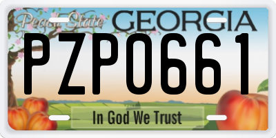 GA license plate PZP0661